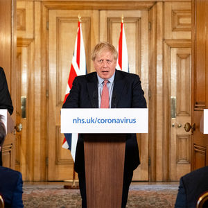 卡明斯证词、防疫政策与群体思维(下)