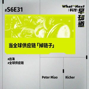 S6E31|当全球供应链「掉链子」