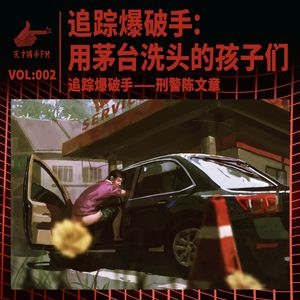 追踪爆破手:用茅台洗头,钞票点烟的孩子们 | 刑警陈文章02