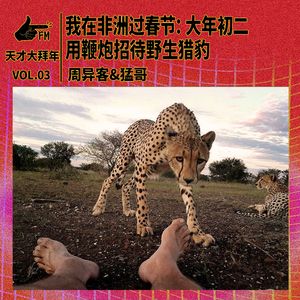我在非洲过春节：大年初二，用鞭炮招待野生猎豹 | 天才大拜年3/5