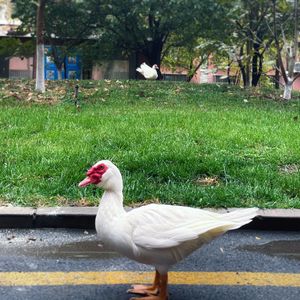 【2023年11月新鲜事】两个医生和一个法医，让我这个月很幻痛