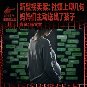 新型拐卖案:社媒上聊几句,妈妈们主动送出了孩子 | 刑警陈文章11