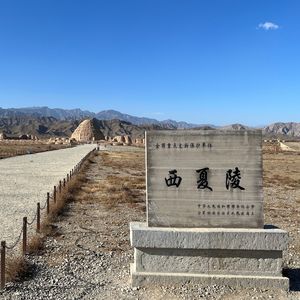 一口气听完西夏王朝189年历史
