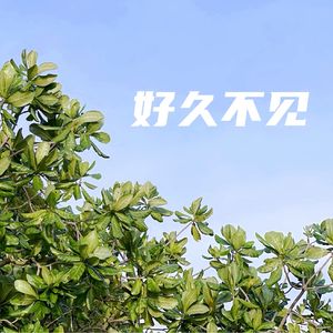 好久不见！未来会持续分享【优势讲解】+【成为教练】方面的内容