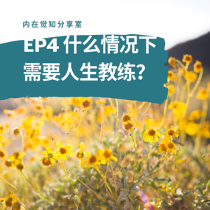 EP4 什么情况下需要人生教练？
