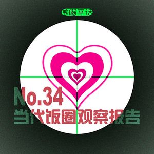 34：当代饭圈观察报告