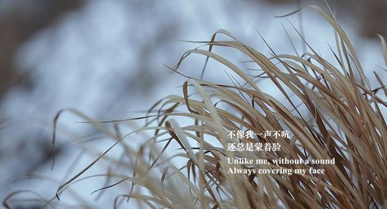 这个时代我们还需要诗歌吗？-诗歌-三言二拍011下