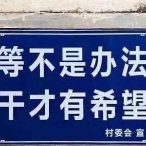 智利(下)的说明｜啰嗦157