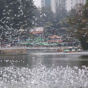 去大理的心花路放之旅-地理图之云南-啰嗦090