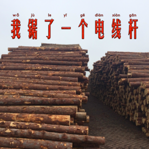 vol.01丨船长:混乱是一个特别好的状态