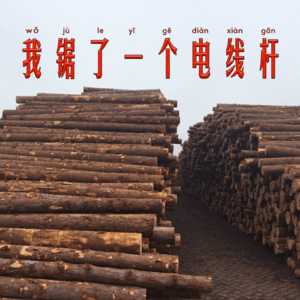 番外篇《miao2在英国》vol.01丨英国人死后去了哪？