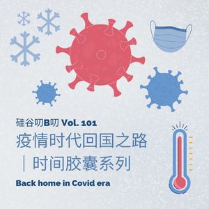 Vol. 101 疫情时代回国之路|时间胶囊系列