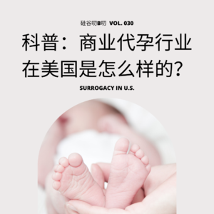Vol. 030 科普：商业代孕行业在美国是怎么样的？