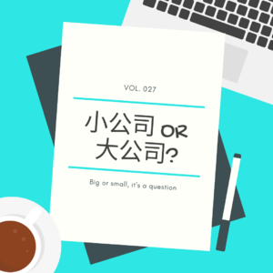 Vol. 027 漫谈：去小公司还是大公司？