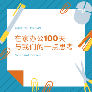 Vol. 039 在家办公100天与我们的一点思考