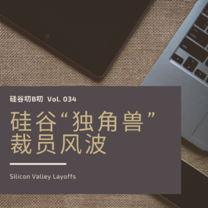 Vol. 034 硅谷“独角兽”裁员风波