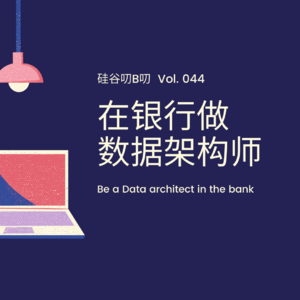 Vol. 044 在银行做“数据架构师” | 美国职业系列