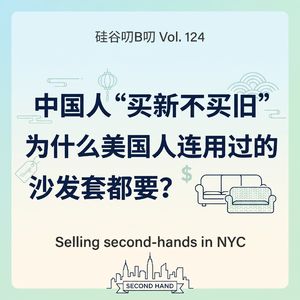 Vol. 124 中国人“买新不买旧”，为什么美国人连用过的沙发套都要？