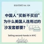 Vol. 124 中国人“买新不买旧”，为什么美国人连用过的沙发套都要？