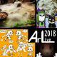 S.P.44.2018年终总结