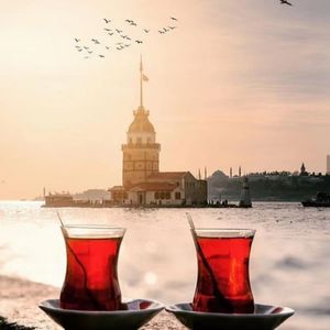 【美景俱乐部】送你一朵奥斯曼番红花