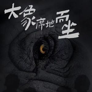 【西门电影院】大象席地而坐