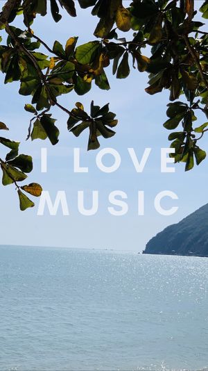 【I Love Music】风风的热带海岛歌单2