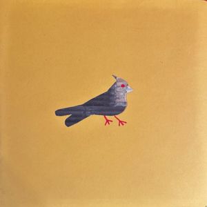 【未接来电】飞行的耳朵