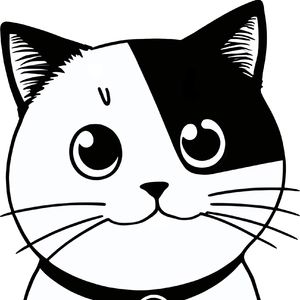 【舞曲时代】黑猫白猫