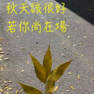 【九霄茶餐听】秋天该很好