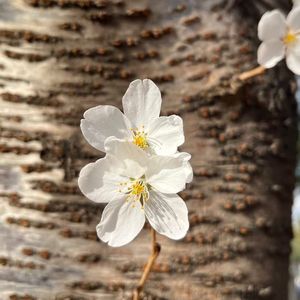 【发呆很好】一周心情小记 MIXTAPE Vol.17