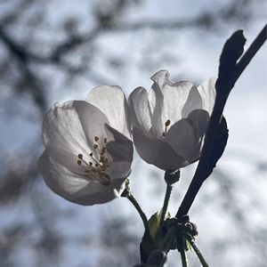 【发呆很好】一周心情小记 MIXTAPE Vol.5