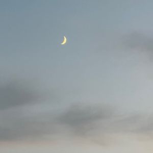 【发呆很好】淡淡的