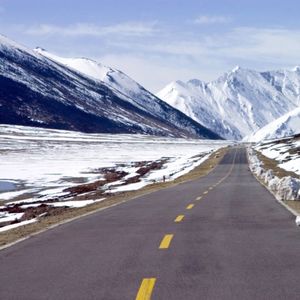 【秘密知音】绿地沙洲