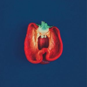 【发呆很好】一周心情小记 MIXTAPE Vol.14