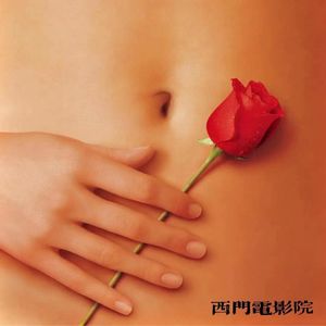 【西门电影院】美国大美人