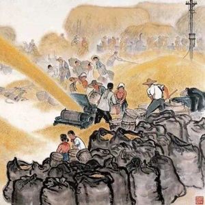 对谈13 | 和一位农学博士聊聊他在腾讯的工作