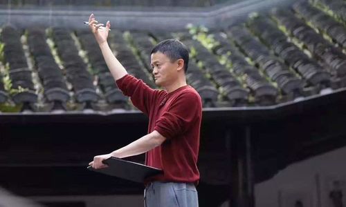 Solo | 马云和这家公司的至暗时刻？