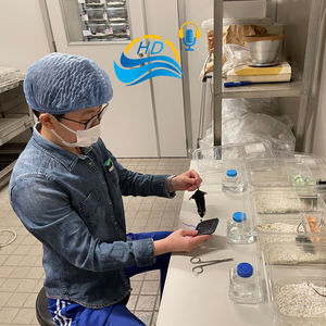 [HD铁三播客] 第28集：在日本做运动营养研究——马思慧