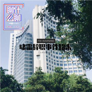 《聊什么聊》 Vol 24 啸雷辞职事件始末