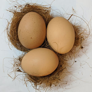 #25. 聊聊冻卵的亲身经历