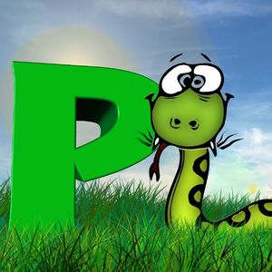 #50 世界第一编程语言 Python