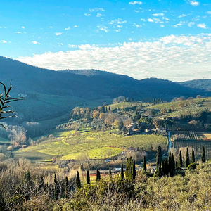 #29 红酒、美食、文艺复兴 ：意大利托斯卡纳之旅