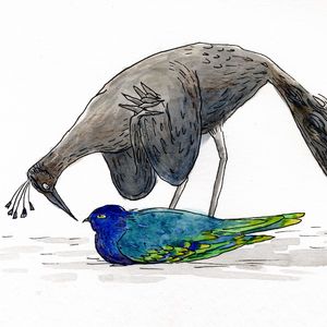 Leader of the Birds