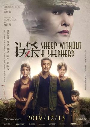 番外No.2 - 《误杀》：鸽子飞不过塔顶，替罪的永远是羊