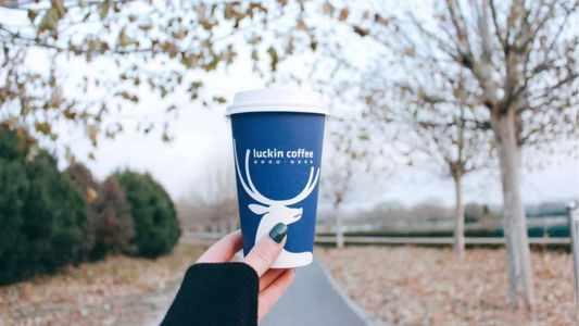 vol.49.瑞幸事件大揭秘