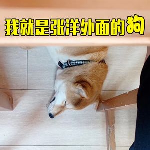 敬我们头上的草原