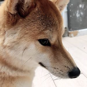 凭实力单身的我们自醒了，那你为什么单身呢？