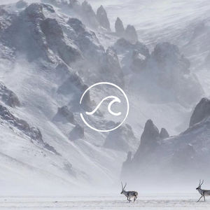 荒野之间：不是大自然需要人类，而是人类需要自然 | 随机波动 x 雷克萨斯