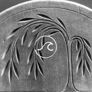 【随机波动086】小盒是我们永远的家